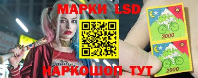 гидра Новозыбков