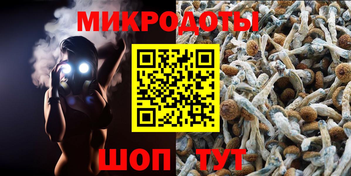 Псилоцибиновые грибы ЛСД Тара