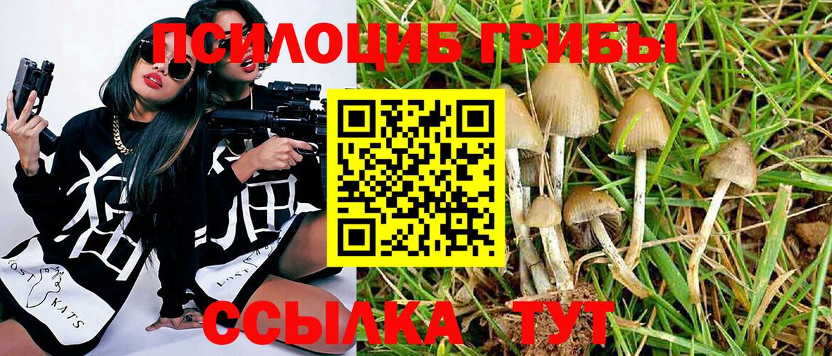 Тара  Галлюциногенные грибы ЛСД  Галлюциногенные грибы MAGIC MUSHROOMS  Вход с VPN 